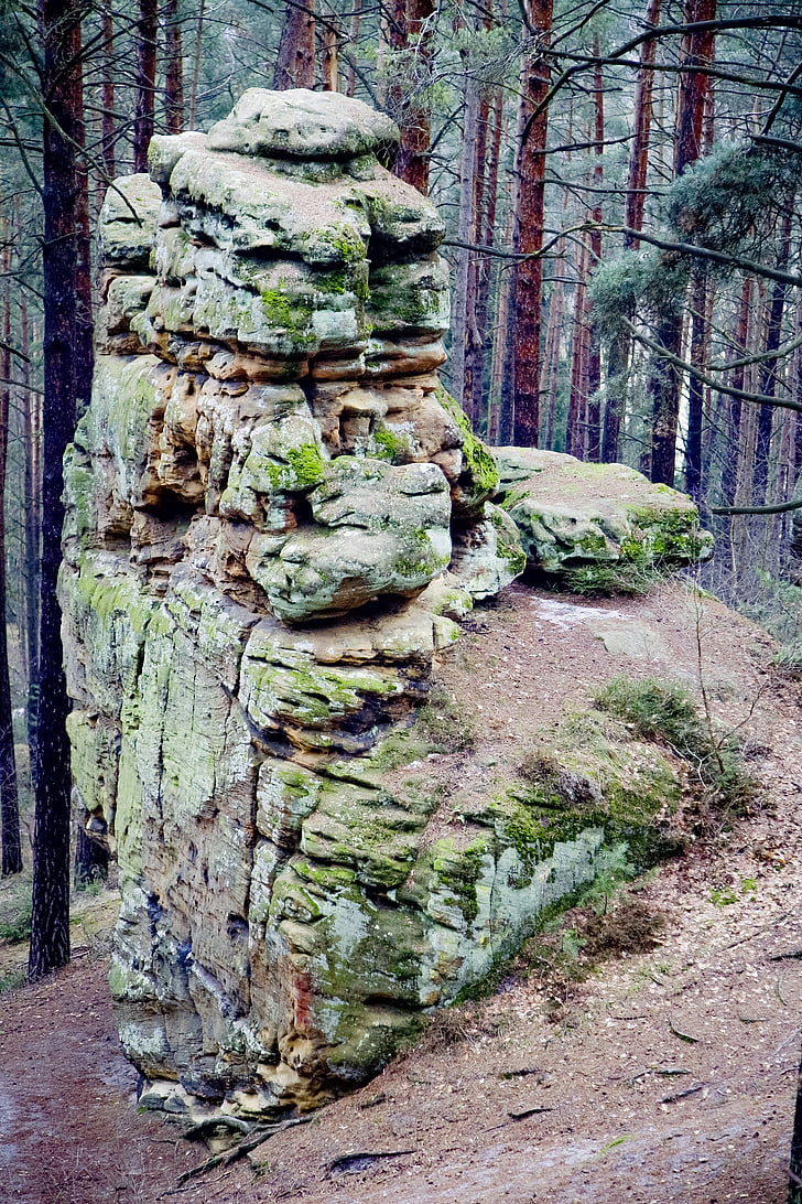 Rock, Forest, kamene, Príroda, Príroda, mystické, stromy