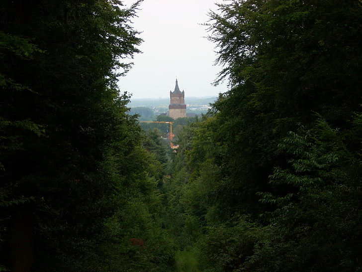 forest, castle, tower, landscape, green