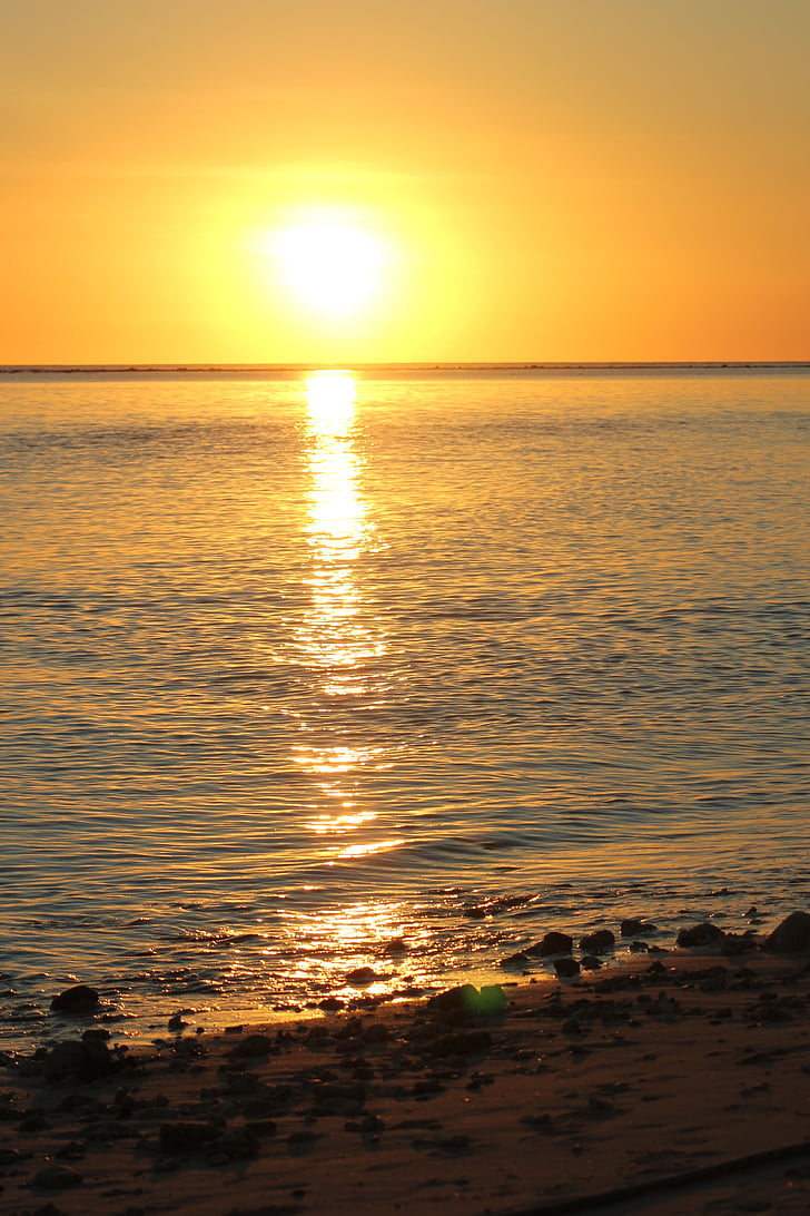 sun, sunset, reflection, sea