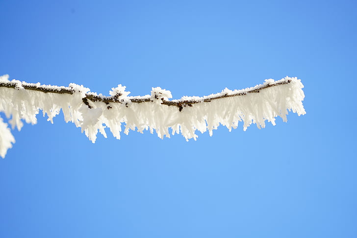 ramo, hoarfrost, ghiacciato, Formazione di cristalli, nevoso, Eiskristalle, cristalli
