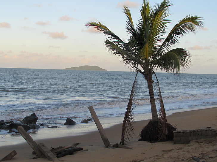 Pantai bourda, cabai rawit, Guyana Perancis
