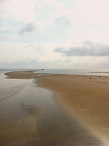 praia, sol, solitária, caminhando, oceano, Verão, mar