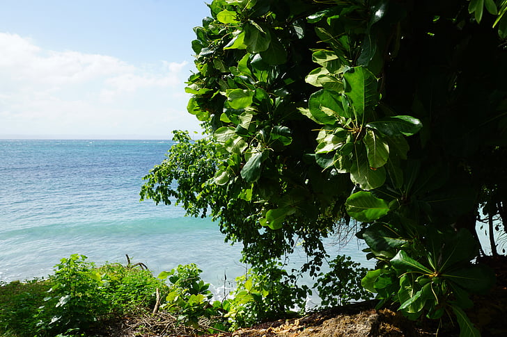 caribbean, island, sea, green, blue
