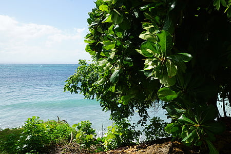 Karibská oblast, ostrov, Já?, zelená, modrá