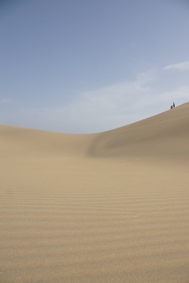 désert, gran canaria, plage, dune de sable, sable, nature, paysage