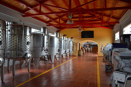 wine, production, winery, drink, alcohol, vine, beverage
