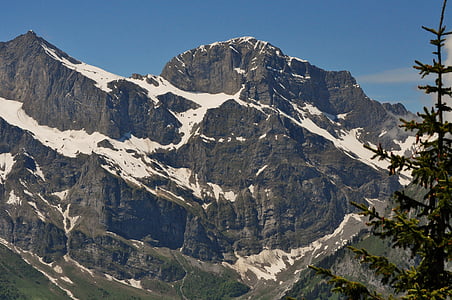 Elveţia, alpin, montan grup, Swiss alps, peisaj, Alp, Panorama
