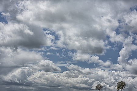 небо, облака, деревья, белое облако, пасмурное небо, Облачно, пейзаж