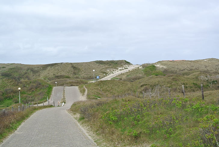 Texel, dunes, distància, paisatge, vacances, Mar, Mar del nord