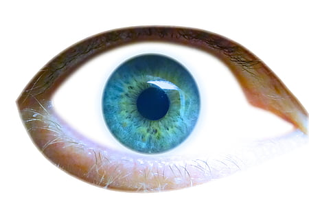 eye, iris, eyelid, view, look, see, pupil