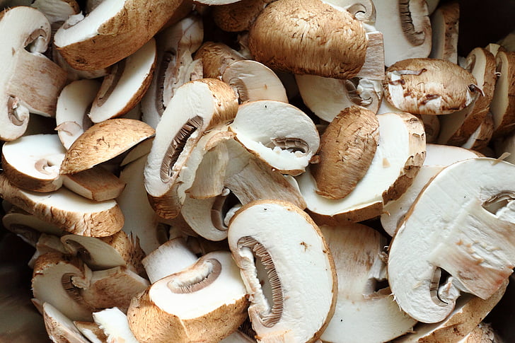 mushroom, fungi, cutting, button mushroom, cooking, vegetable, ingredient
