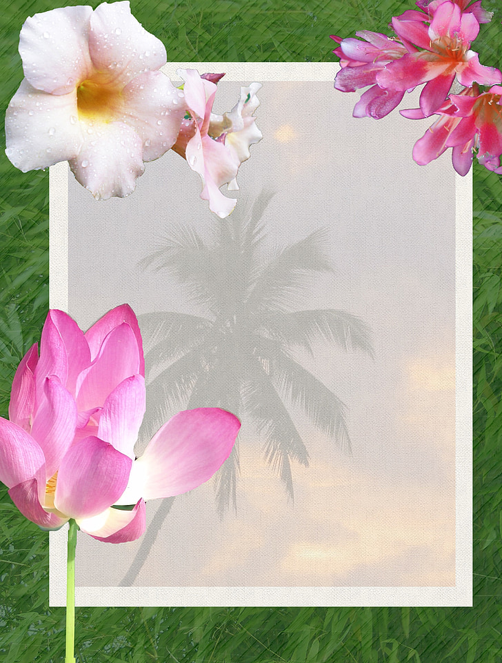 flowers, tropical, tropics, beach, palm trees, scenic, hot