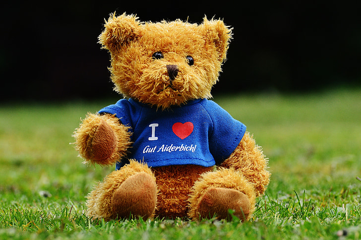 teddy, good aiderbichl, sanctuary, animals, bear, funny, t shirt