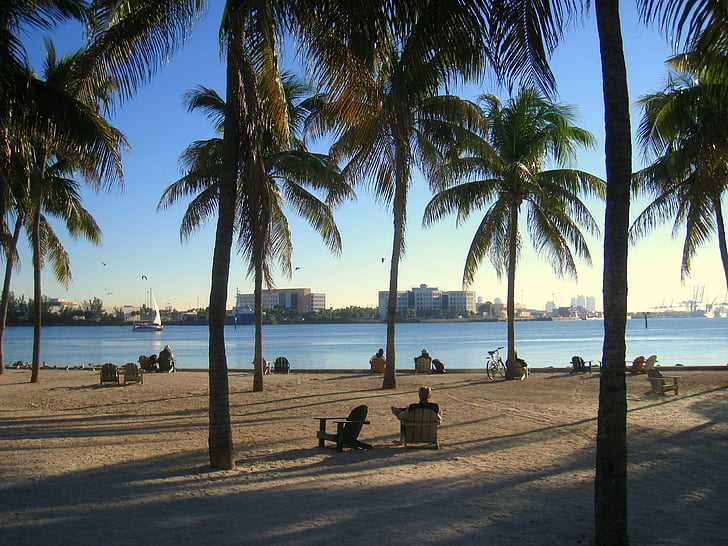 Miami, Florida, oceano, spiaggia, Skyline, acqua, palme
