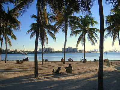 miami, florida, ocean, beach, skyline, water, palm trees