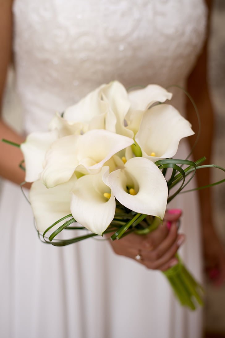 pušķis, kāzas, ziedi, apdare, balta, ceremonija, tradīcija