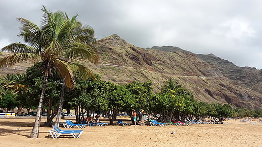 beach, palm trees, tenerife, sea, island, holiday, sand