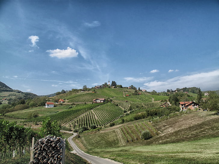 Bizeljsko, Slovenia, Villaggio, colline, paesaggio, scenico, aziende agricole
