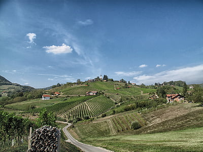 bizeljsko, Słowenia, wieś, Hills, krajobraz, sceniczny, gospodarstw rolnych