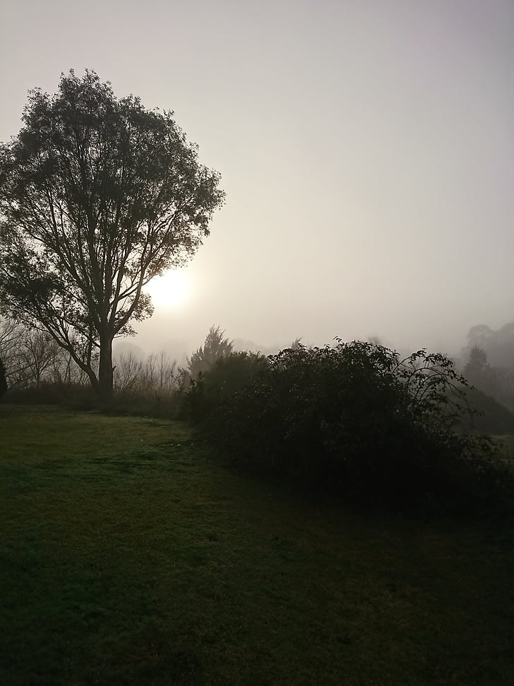 nebbia, Tallangatta, Victoria