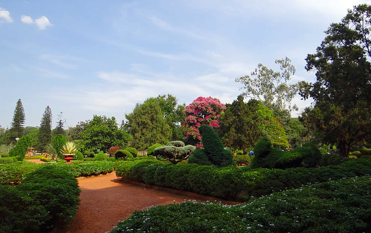 Botanická záhrada, Lal bagh, Park, Záhrada, zelene, Bangalore, India