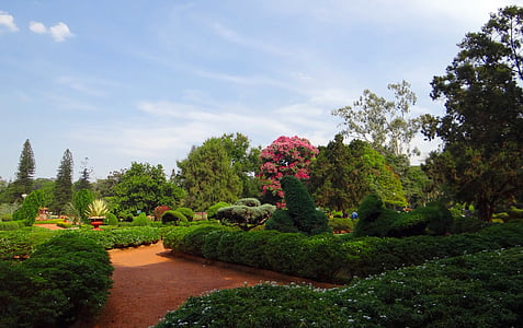 Botāniskais dārzs, Lal bagh, parks, dārza, zaļumi, Bangalore, Indija