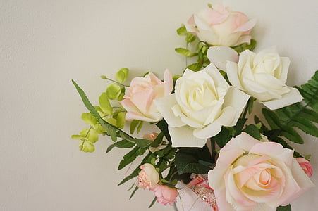 rose, rosaceae, pink, white