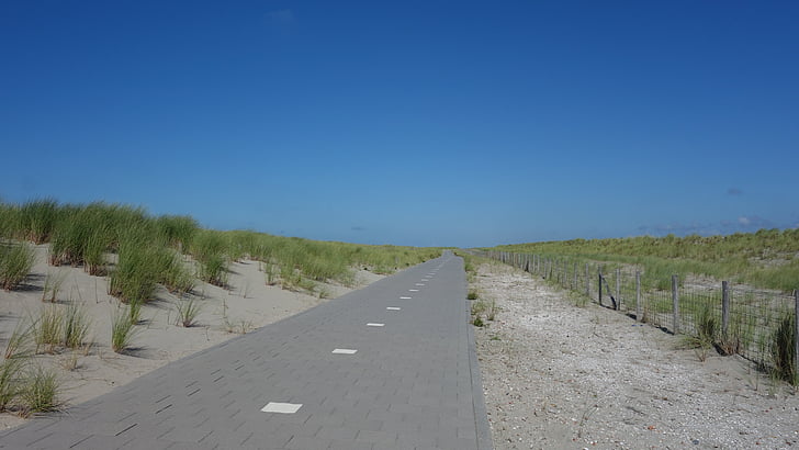Monster, Westland, carretera, carril bici, paisaje, Ruta de acceso, Países Bajos