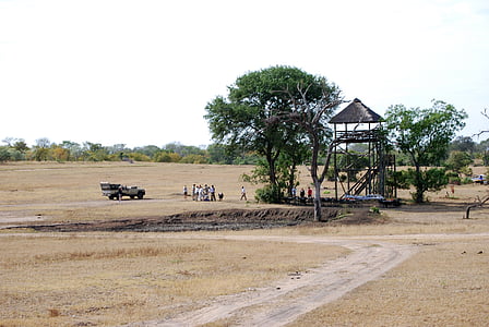 Safari, Bush Aamiainen, Afrikka