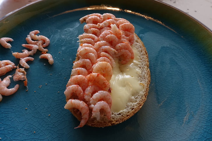 crevettes du fjord, crevettes roses, cuit, alimentaire, salle à manger, fruits de mer, crevettes danoises