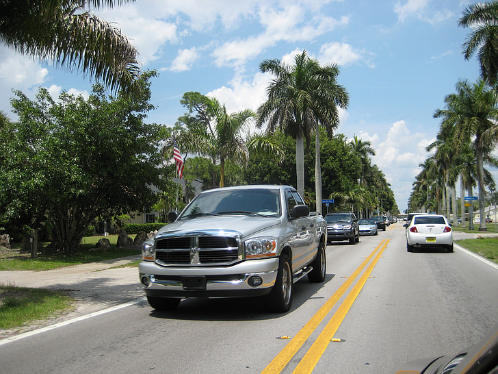 ASV, Automātiska, transportlīdzekļa, ceļu satiksmes, Miami, Florida, palmem