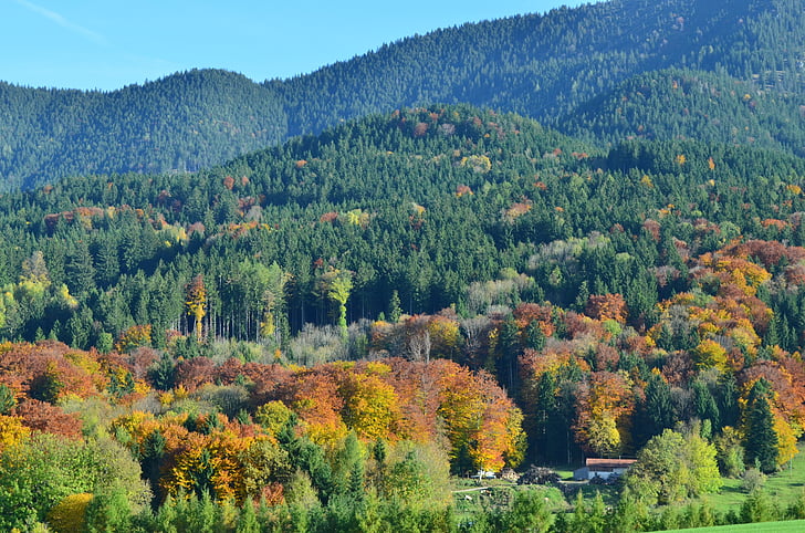 pegunungan, musim gugur, pemandangan