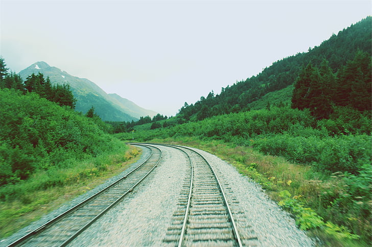 gray, train, rails, green, trees, daytime, railroad