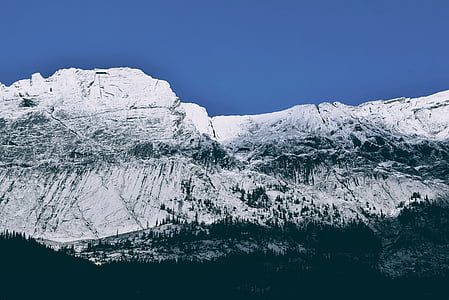панорамна, снимка, рок, планински, гора, сняг, Ридж