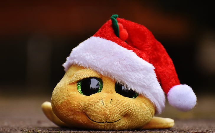 クリスマス, カメ, 動物のぬいぐるみ, 柔らかいおもちゃ, サンタの帽子, おもちゃ, かわいい