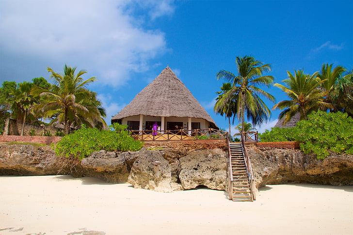Zanzibar, Plaża, Hotel, palmy, palmy, piasek, drzewo