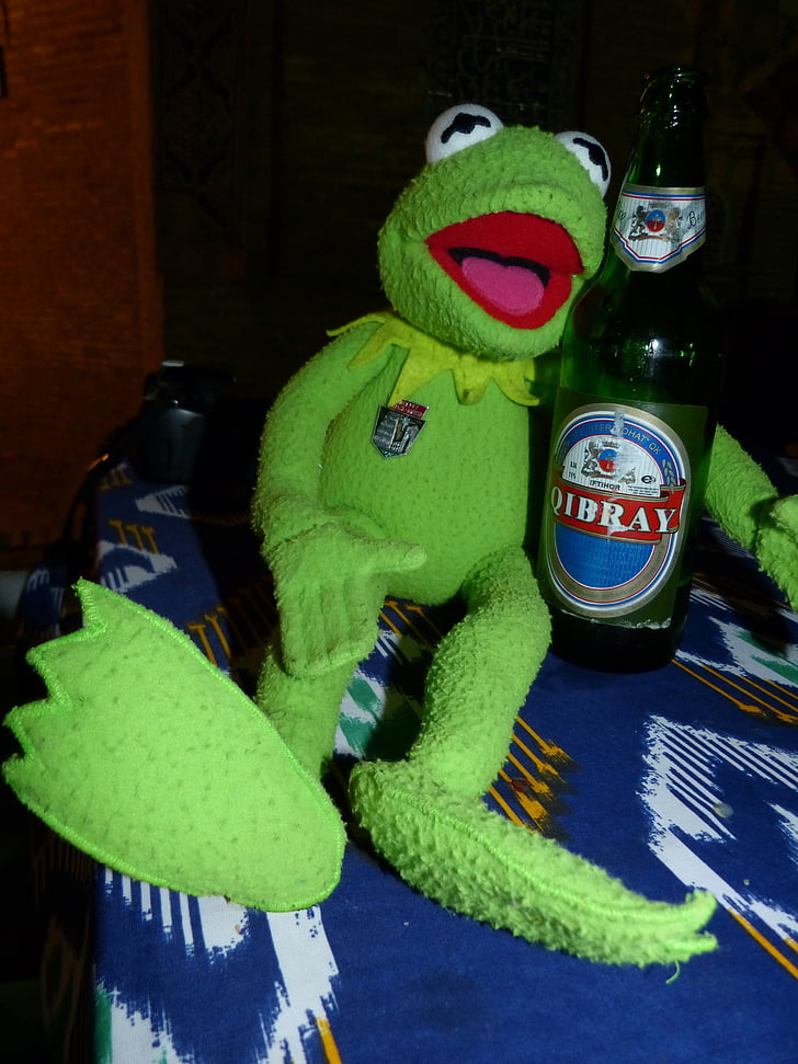 Kermit, broasca, bere, băutură, iarna