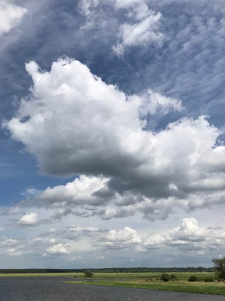 cielo, nuvole, nuvolosità, una grande nube, acqua, Auen, Elbauenpark