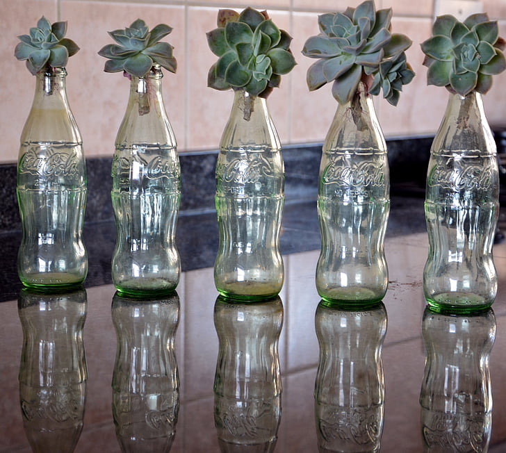 bottiglie, decorazione, vaso di vetro, riflessione