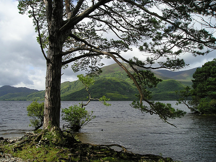 アイルランド, 湖湖, 神秘的です, 自然