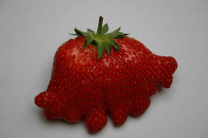 strawberry, fruit, red, rare form
