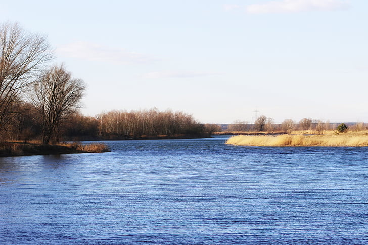 krajine, jezero, dreves, nebo, modro nebo, scenics, narave
