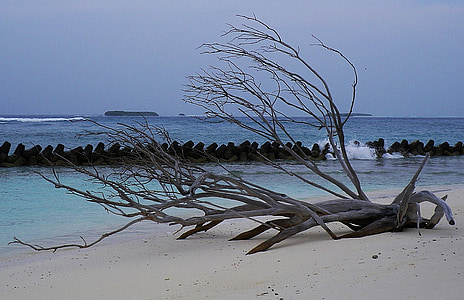 Maldiverna, stranden, vrakgods, havet, naturen, Sand, kusten
