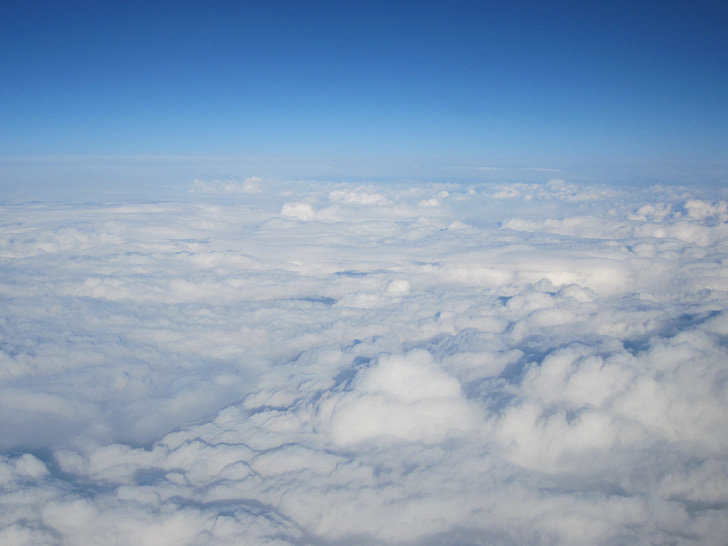 mraky, obloha, nad mraky, Selva marine, mraky zvířata, letu, modrá