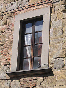 Dom z kamienia, ściany z kamienia, okno, miód, gołąb, Włochy, Toskania