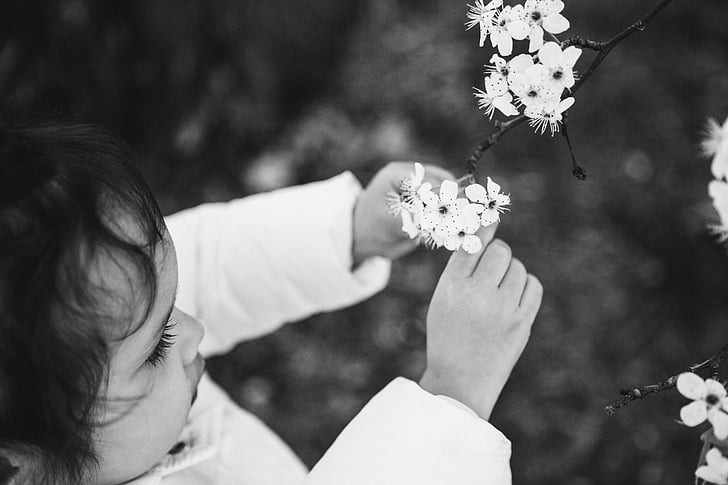 little girl and flower, white flower, black and white, people, kid, child, girl