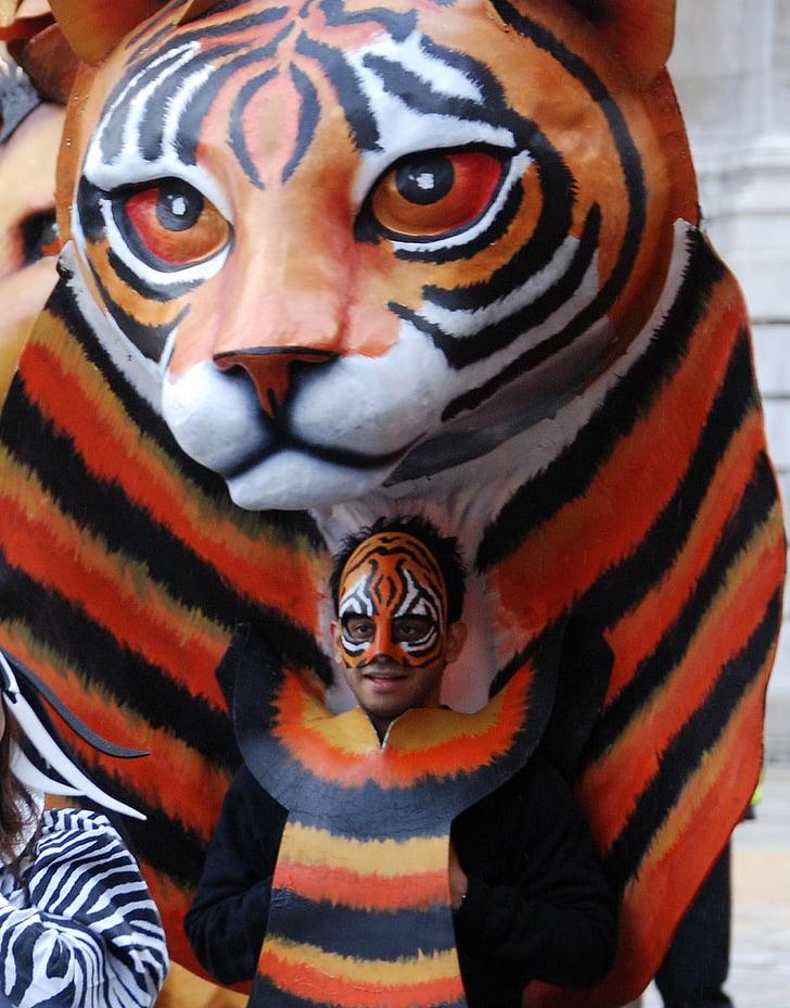 Tiger, masken, kostym, Parade, ansikte, katt ansikte, Carnival