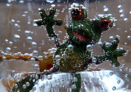ếch, nước, màu xanh lá cây