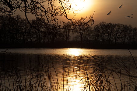 coucher de soleil, Lac, abendstimmung, nature, Romance, eau, paysage
