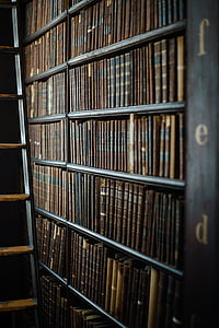 libros, enciclopedia, escalera, Letras, Biblioteca, sección, estantes